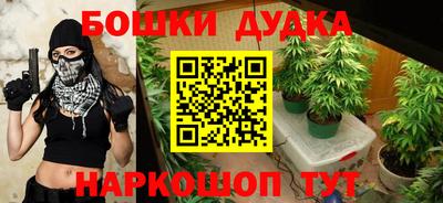 твердый Славгород